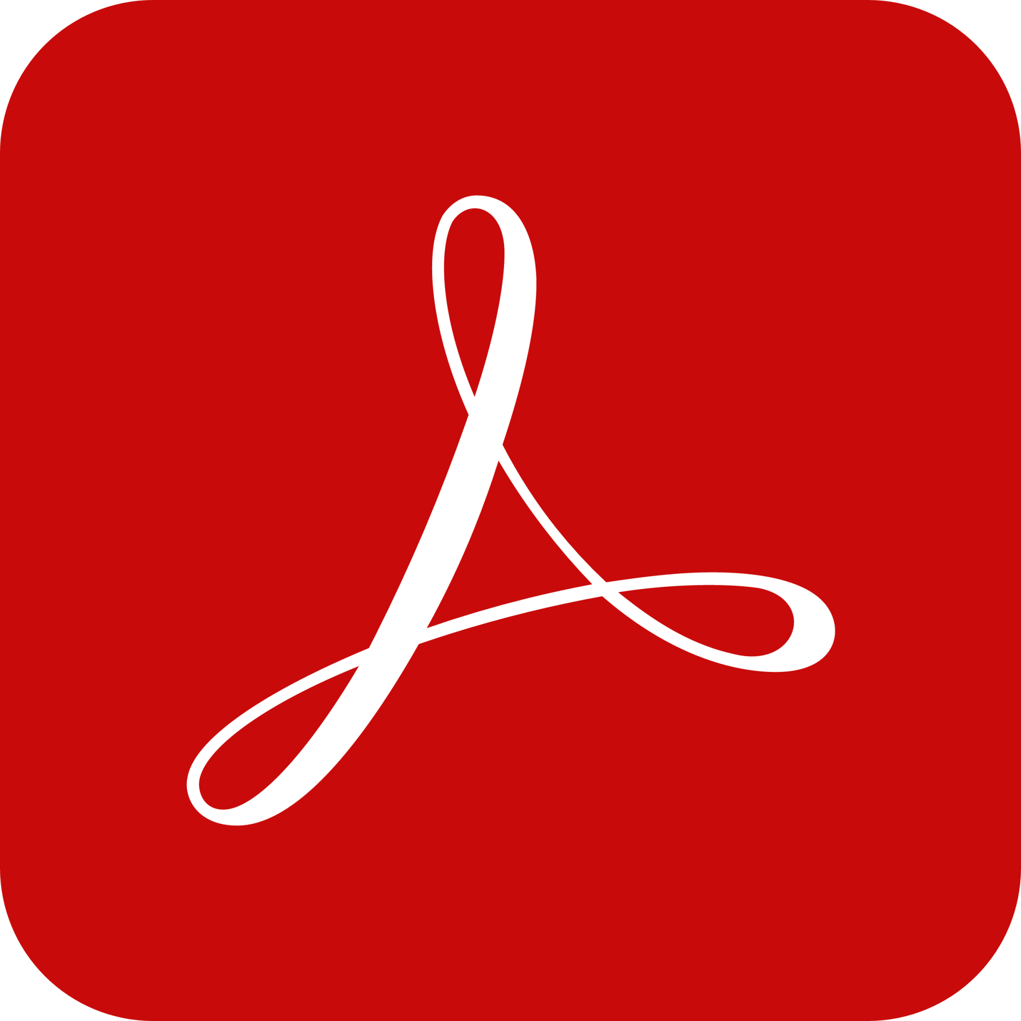 PDF File